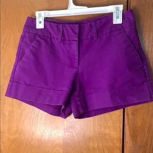 New York and Co Purple Shorts